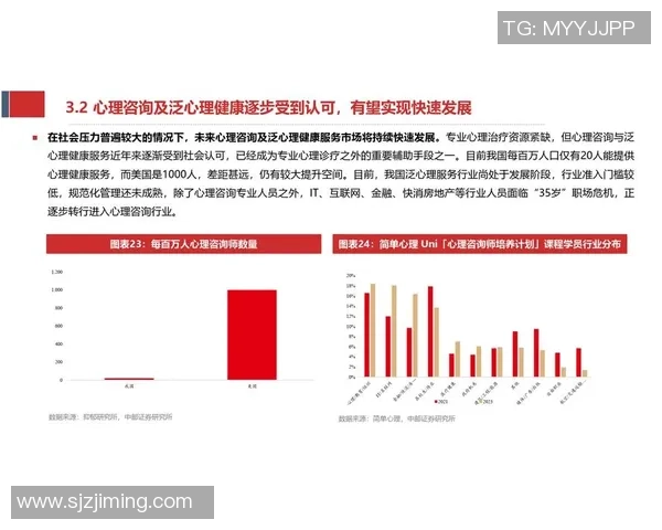 重庆羽毛球队在联合会杯中的强势表现与未来发展潜力分析